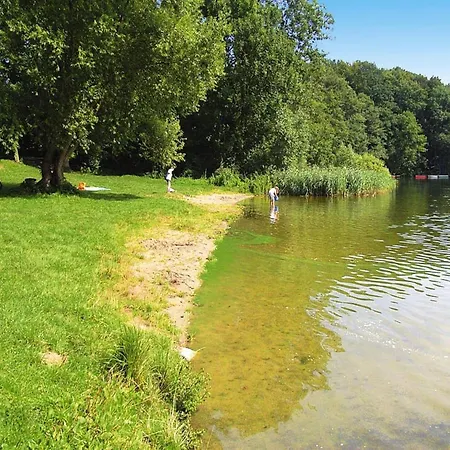Holiday home Mit Kaminofen Am Duemmer In